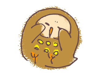 An owl printed circles called Earl