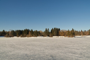 Fototapeta na wymiar A Frozen Pond at a Park