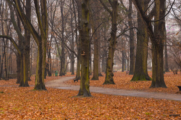 Park Zachodni we Wrocławiu. © boguslavus