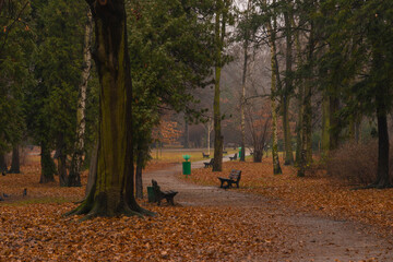 Park Zachodni we Wrocławiu.