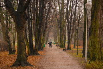Park Zachodni we Wrocławiu.
