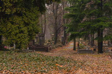 Stary cmentarz żydowski we Wrocławiu przy ulicy Lotniczej