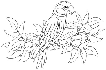 Amusing parrot perched on a tree branch in a tropical jungle, black and white outline vector cartoon illustration for a coloring book page