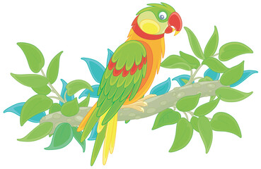 Amusing colorful parrot, long-tailed and with brightly colored plumage, perched on a green tree branch in a tropical jungle, vector cartoon illustration isolated on a white background