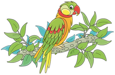 Amusing colorful parrot perched on a green tree branch in a tropical jungle, vector cartoon illustration isolated on a white background