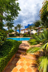 Fototapeta premium Swimming pool, sun-loungers and palm trees during a warm sunny day, paradise destination for vacations. Backyard swimming pool with garden full of palm trees and flowers. Backyard with swimming pool.