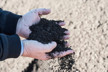 holding soil and humus in hand