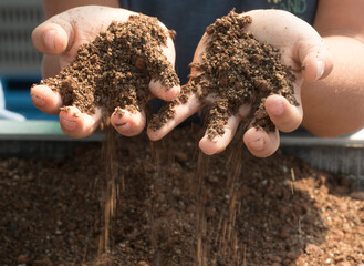 holding soil and humus in hand