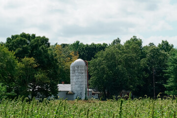 Farm landscape Dover MA USA 