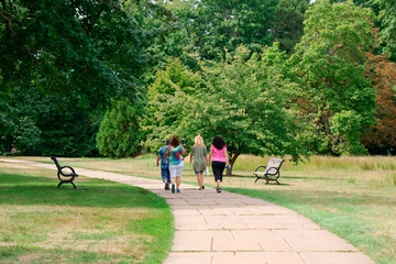 people walking in park