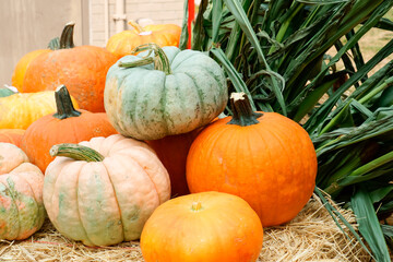 pumpkins on haystack