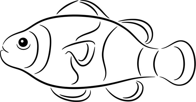 Illustration of a cartoon clown fish, isolated