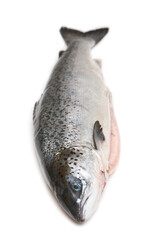Whole Scottish salmon fish (1kg ) isolated on a  white studio background.