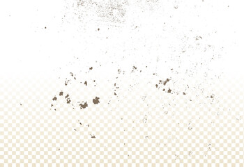 Mold, mildew, decay, stains, splashes, explosion. On an isolated background. Trail of grunge blots and splashes. Vector pattern of natural origin.