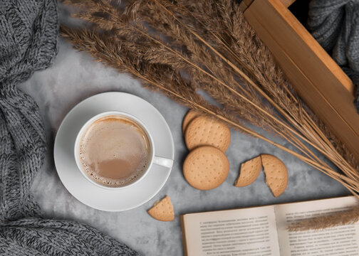 Cap of cappuccino on gray concrete background with cookies, book and dry reeds