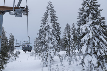 Skier In The Ski Resort Hochficht In The Bohemian Forest - Austria