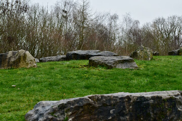 Boulders on a hill by the wood, England 
