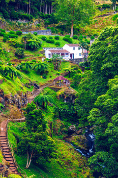 Waterfall at  Parque Natural Da Ribeira Dos Caldeiroes, Sao Miguel, Azores, Portugal. Beautiful waterfall surrounded with hydrangeas in Ribeira dos Caldeiroes park, Sao Miguel, Azores, Portugal