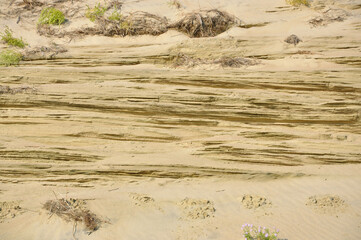 White Beach Sand Layered Texture 2