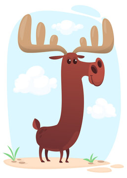 Funny cartoon moose. Vector moose character illustration