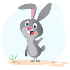 Cartoon Bunny Rabbit Character. Vector illustration