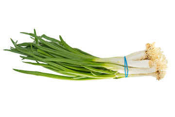Green fresh Onion isolated on white background