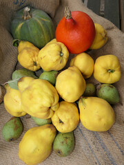 Autumn Fruits Such As Quinces, Pears, Sweet Chestnuts On A Sack, Still Life
