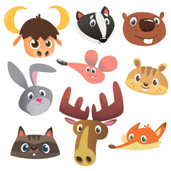 Fototapeta premium Cartoon forest animal characters set. Vector illustration