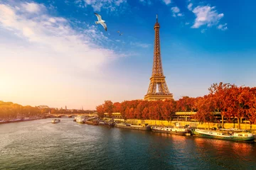 Peel and stick wall murals Paris Eiffel tower in autumn foliage. Eiffel Tower with autumn leaves in Paris, France. Seine in Paris with Eiffel tower in autumn time. Paris with Eiffel tower in autumn time. Paris, France.