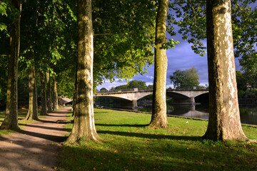 Les arbres et la lumière dans la ville à La Flèche (72200), Sarthe en Pays de la Loire, France