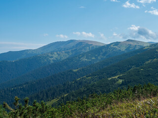 Fototapeta na wymiar view from ridge of Low Tatras mountains, hiking trail with mountain meadow, scrub pine and grassy green hills and slopes. Slovakia, summer sunny day, blue sky background