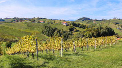 Vineyards