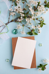 spring background. layout of a postcard from a blossoming cherry branch and an envelope. space for text