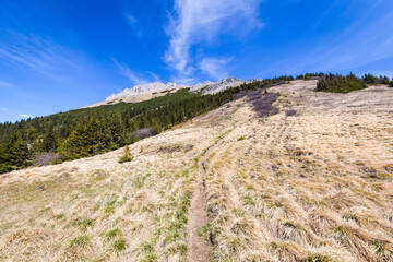 Hiking trail to the top of the mountain Hohe Veitsch in Austria
