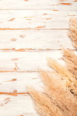 Reed Plume Stem, Dried Pampas Grass, Decorative Feather Flower Arrangement for Home, New Trendy Home Decor, flat lay on rustic background with copy space