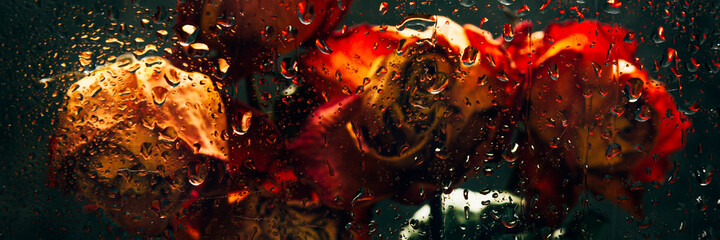 Dried orange roses. Bunch of beautiful faded flowers through the glass with rain drops. Sad love concept. Copy space, grey background, banner size - Powered by Adobe