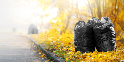 Black bags full filled with autumn leaves in a park. Street city cleaning from fallen leaves.