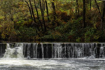 Bosque en otoño con río y cascada