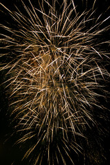 Obraz premium Colorful fireworks set on the dark black nite sky background