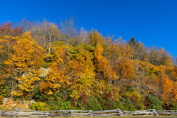 Linville Viaduct along the Blue Ridge Parkway in NC