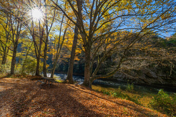 Linville Viaduct along the Blue Ridge Parkway in NC