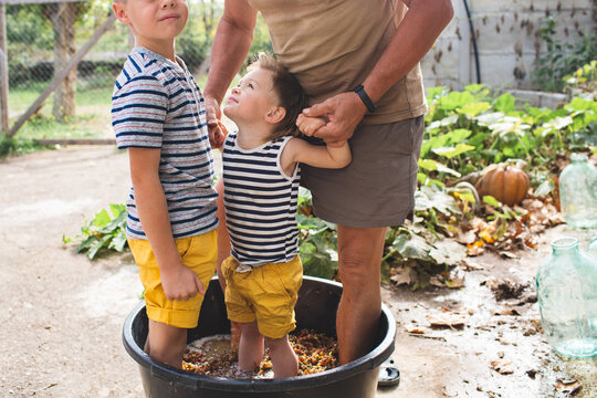 Children crush grapes with their feet in a big black basin