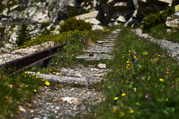 Wagon track, abandoned, in the mountains, covered with grass and flowers.