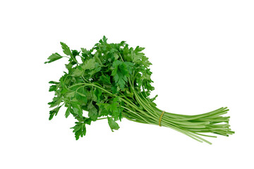 Fresh parsley bunch isolated on white background
