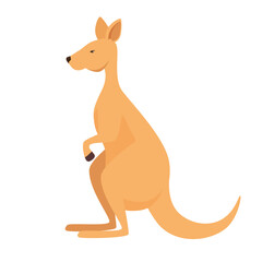 kangaroo australian animal wild character vector illustration design