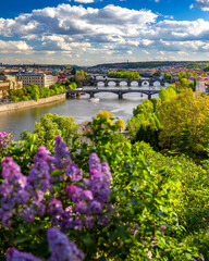 Obraz premium Scenic view of the Old Town pier architecture and Charles Bridge over Vltava river in Prague, Czech Republic. Prague iconic Charles Bridge (Karluv Most) and Old Town Bridge Tower at sunset, Czechia.