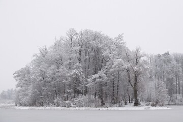Beautiful winter on Lake Otominskie in misty scenery, Kashubia, Poland.