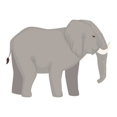 elephant african animal wild character vector illustration design