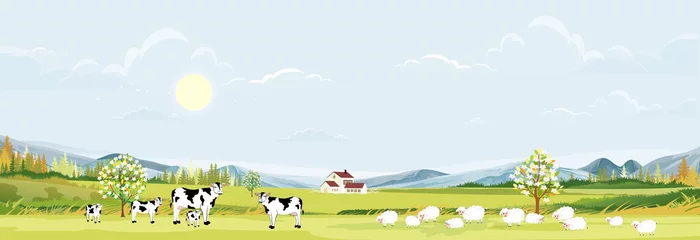 Fotobehang Rural farm landscape with green fields and barn animals cow, goats, sheep and windmills on hill with blue sky and clouds, Vector cartoon Spring or Summer landscape,Eco village or Organic farming in uk © Anchalee