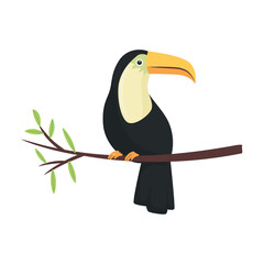 Fototapeta premium african toucan animal wild character vector illustration design